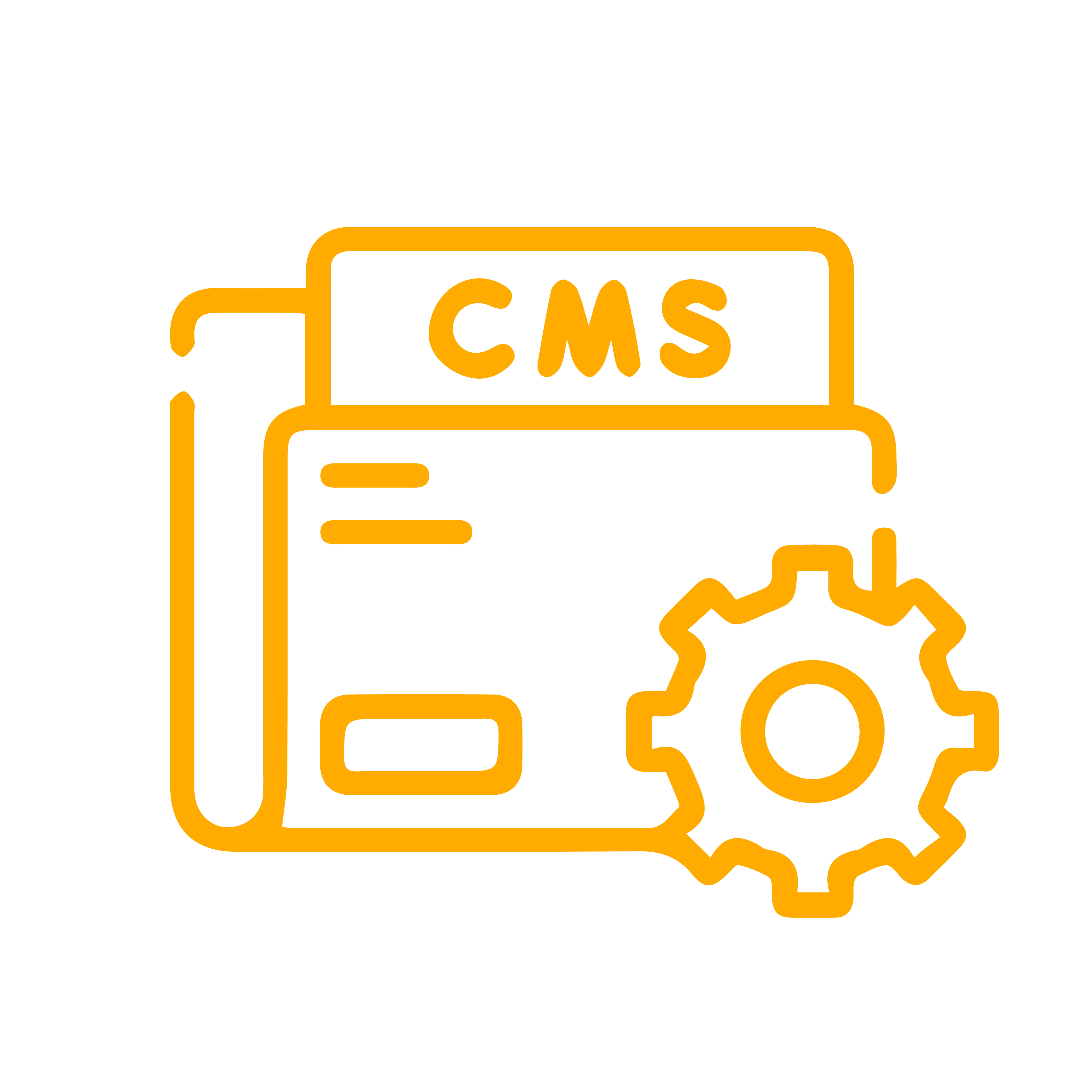  CMS Development